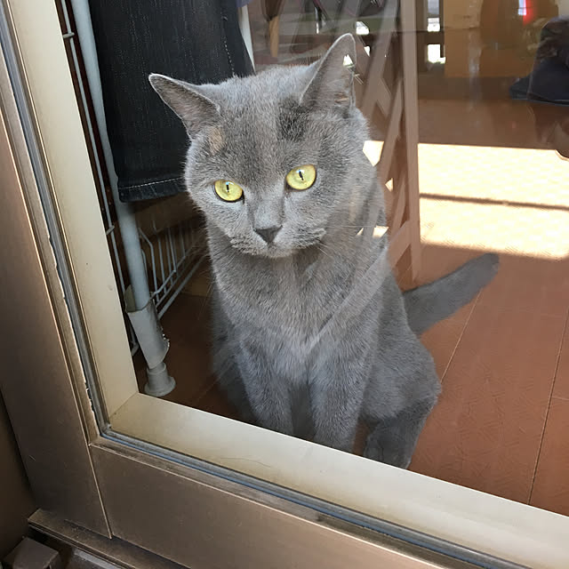 ikettenさんの実例写真