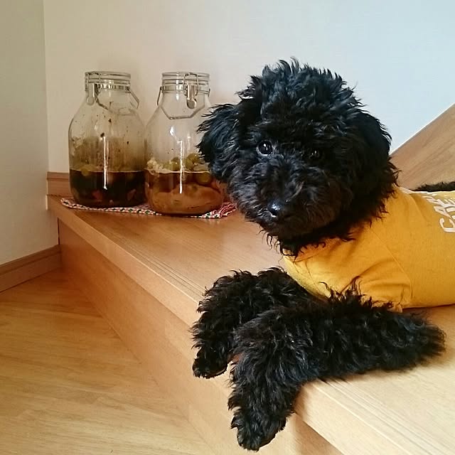 mignonさんの実例写真