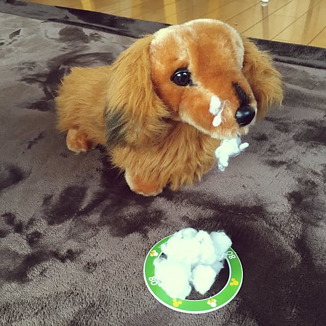 Rさんの実例写真