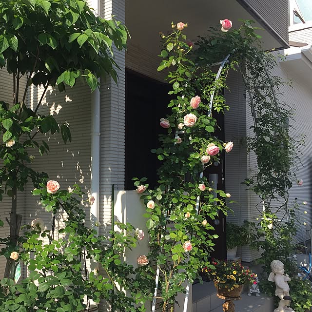 angelrose.yuuさんの実例写真