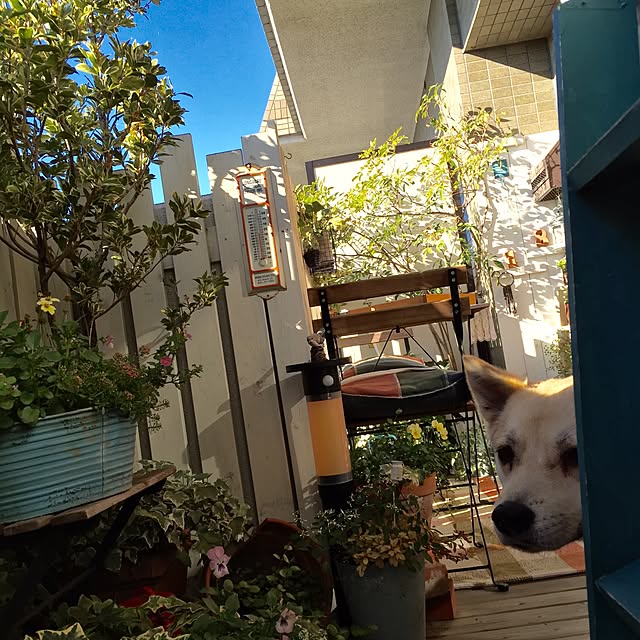 leonaさんの実例写真