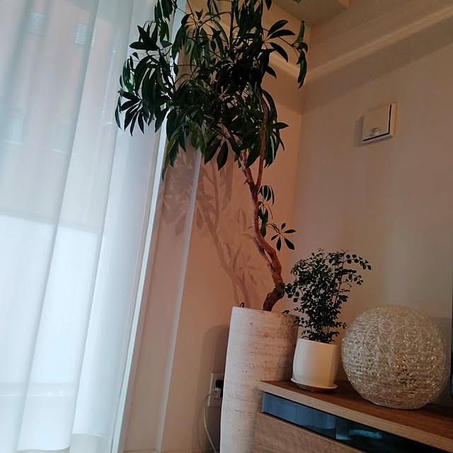 pyoin99さんの実例写真