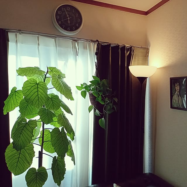 moruさんの部屋
