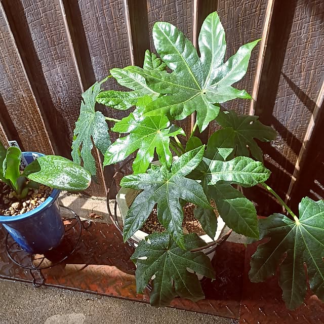 hiro.904さんの部屋