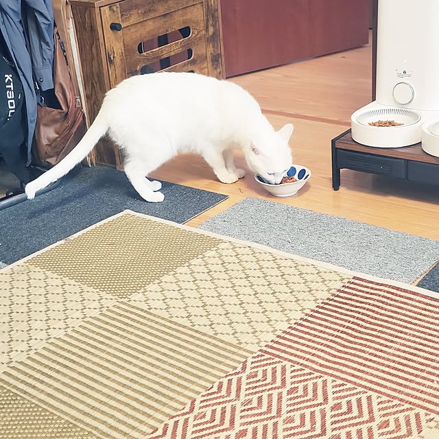 HOTARU.catさんの部屋