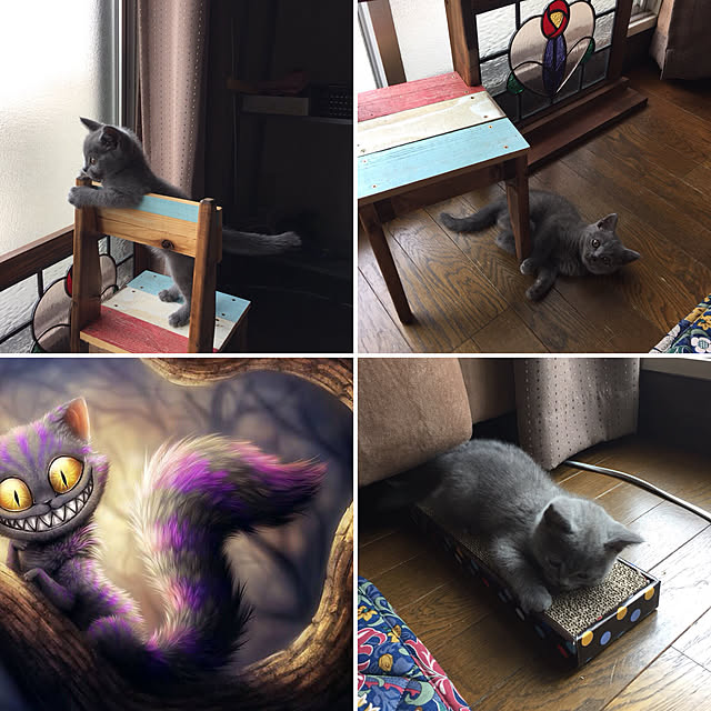 masaさんの実例写真
