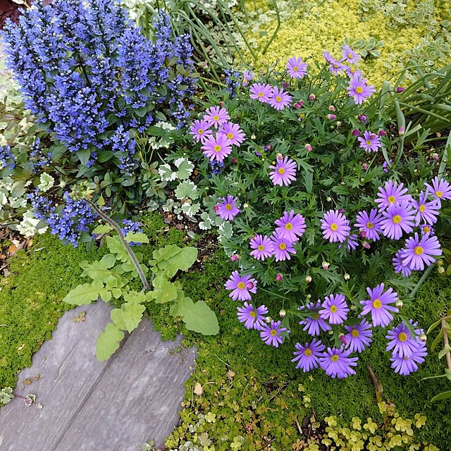 coconathuさんの部屋