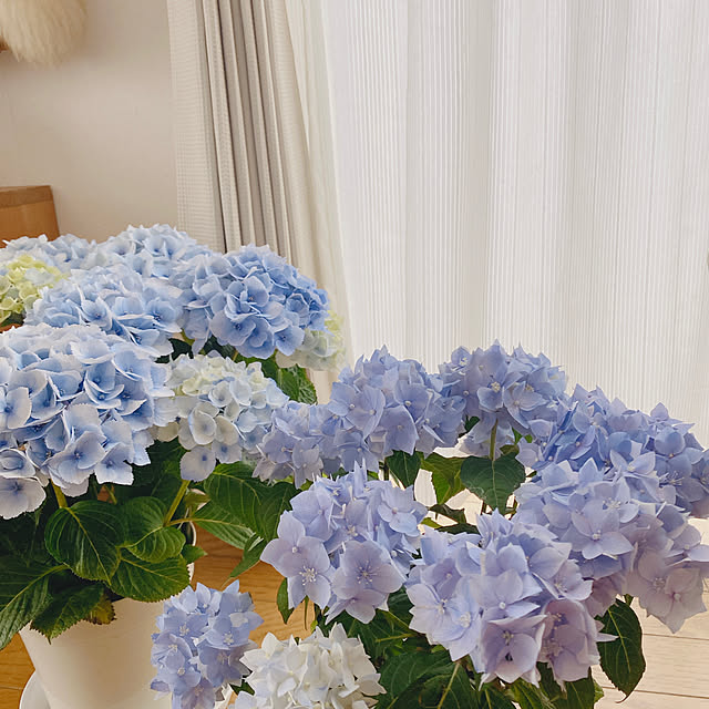 yukaさんの部屋