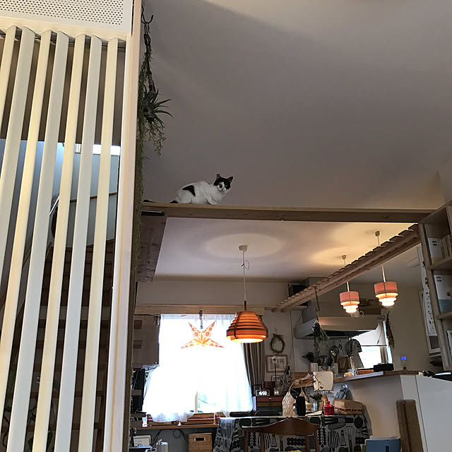 shizi195さんの実例写真