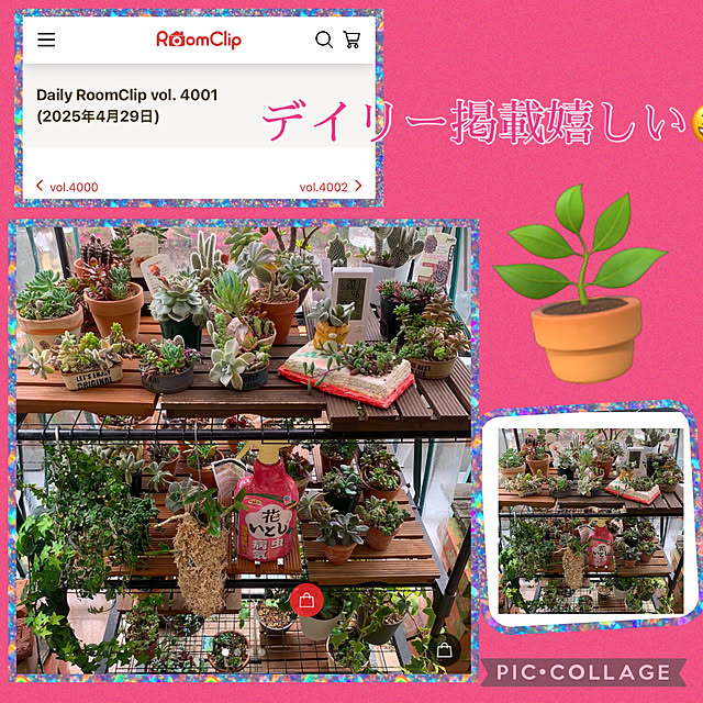 Aqettyさんの部屋