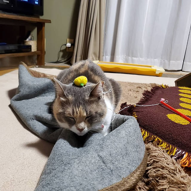 fukuさんの実例写真