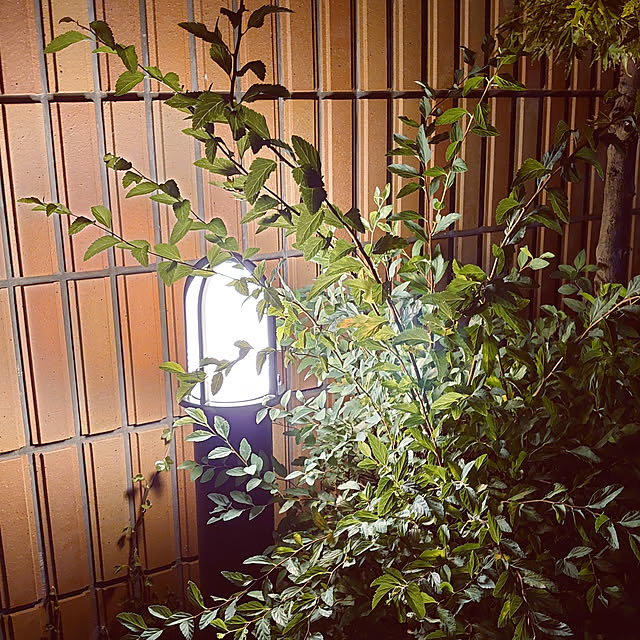 toshihiraさんの実例写真