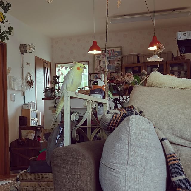 akiさんの部屋