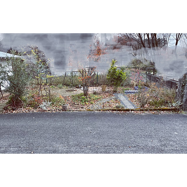 marucoさんの実例写真