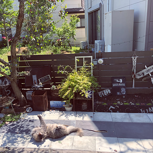 mayumiさんの実例写真