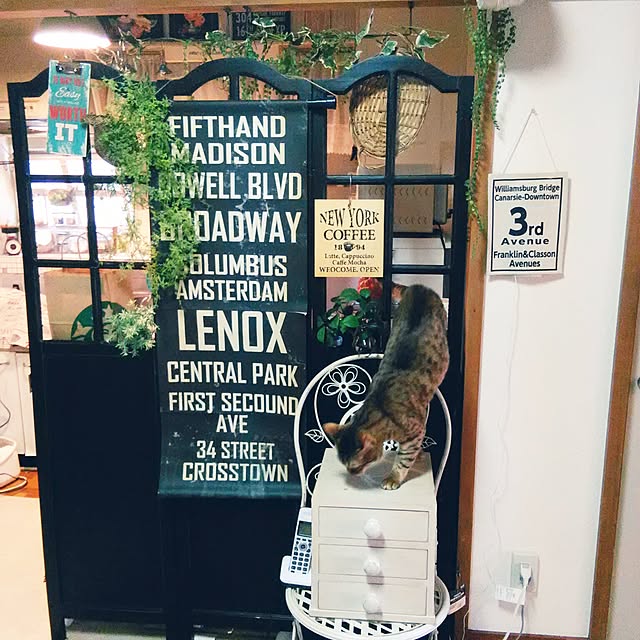 Rabbitさんの実例写真