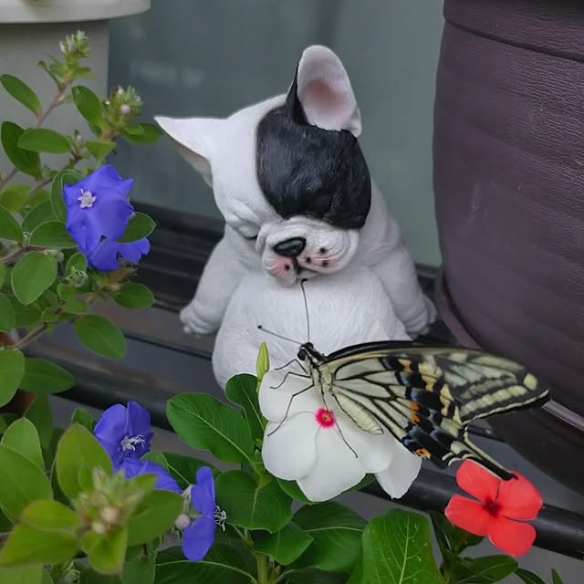 NOAHさんの実例写真