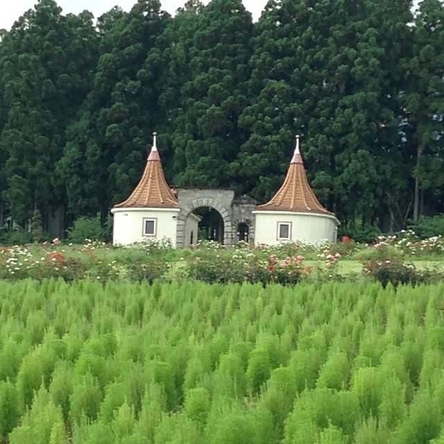 実例写真