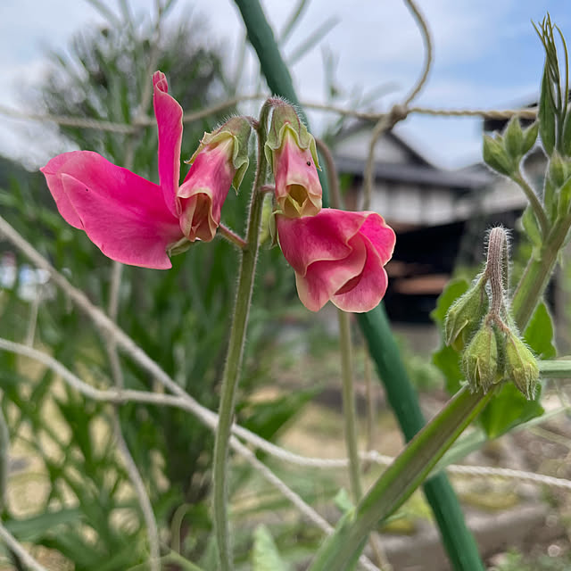 natsumiさんの実例写真