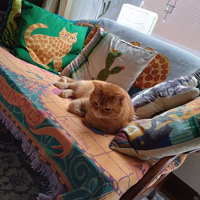 CHIKAさんの部屋