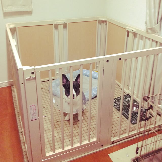 HALさんの実例写真