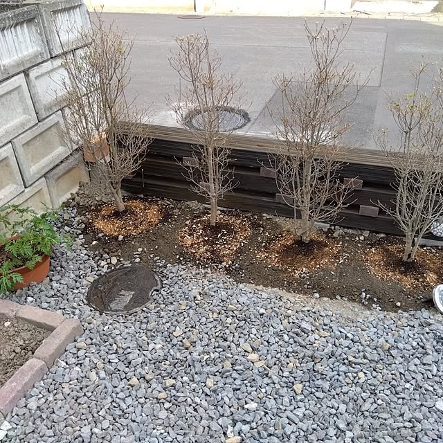 mokukoさんの部屋