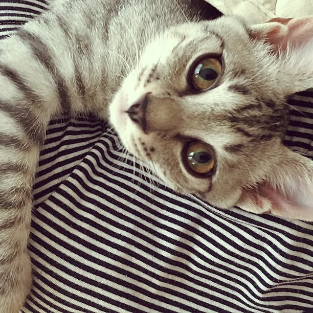 Bambiさんの実例写真