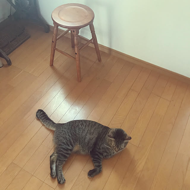 mikan161さんの実例写真