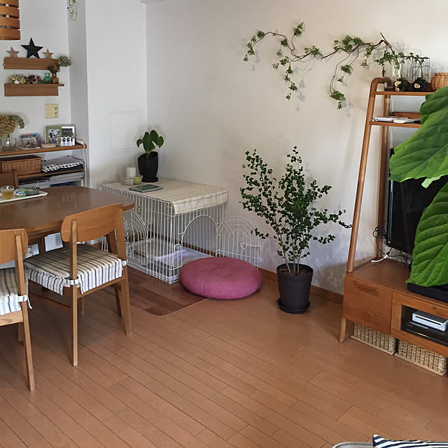 shizu2380さんの実例写真