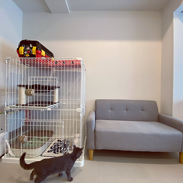 pigukoさんの実例写真