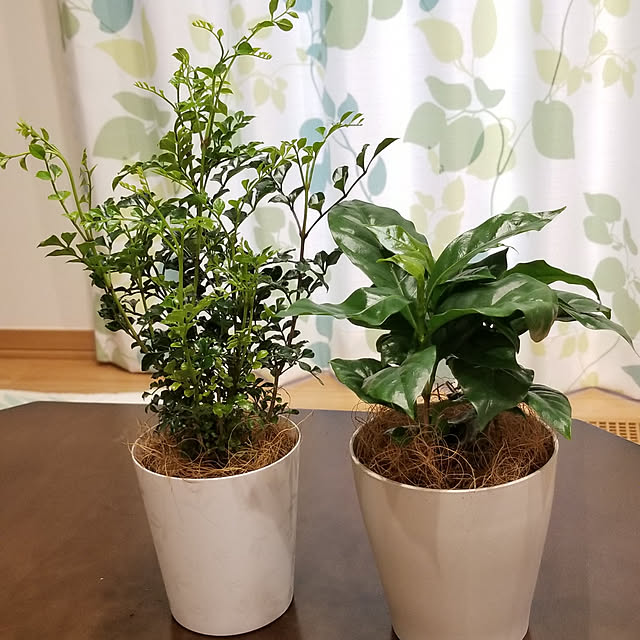 3saTさんの実例写真