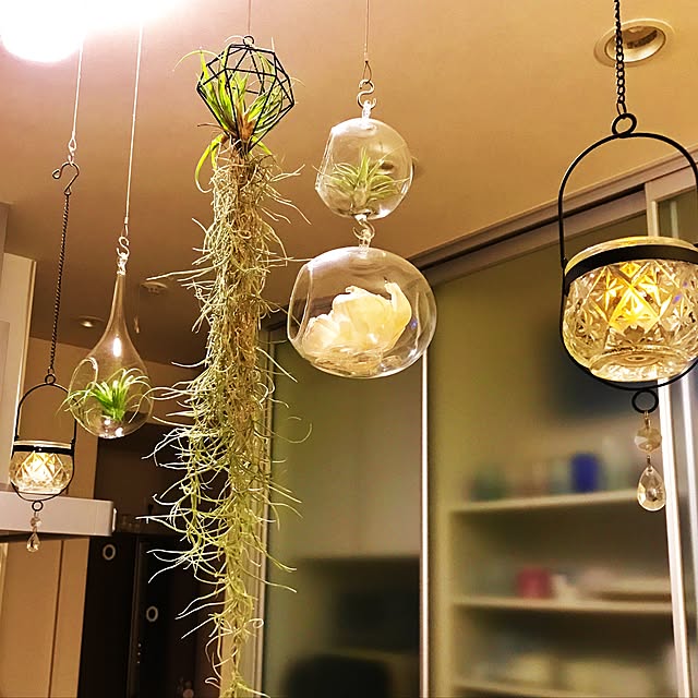 kinakoさんの実例写真