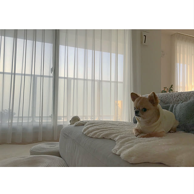 haruhinaさんの実例写真