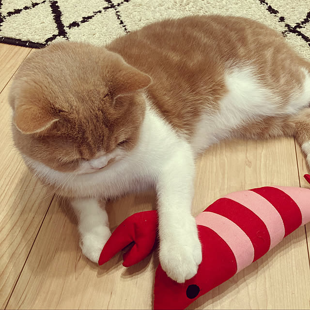 monchanさんの実例写真