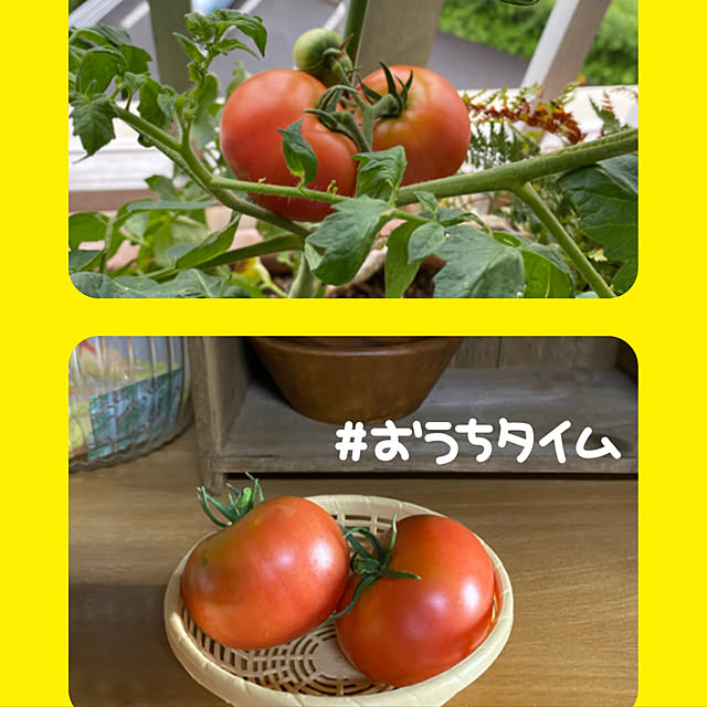 maryunanamamaさんの実例写真