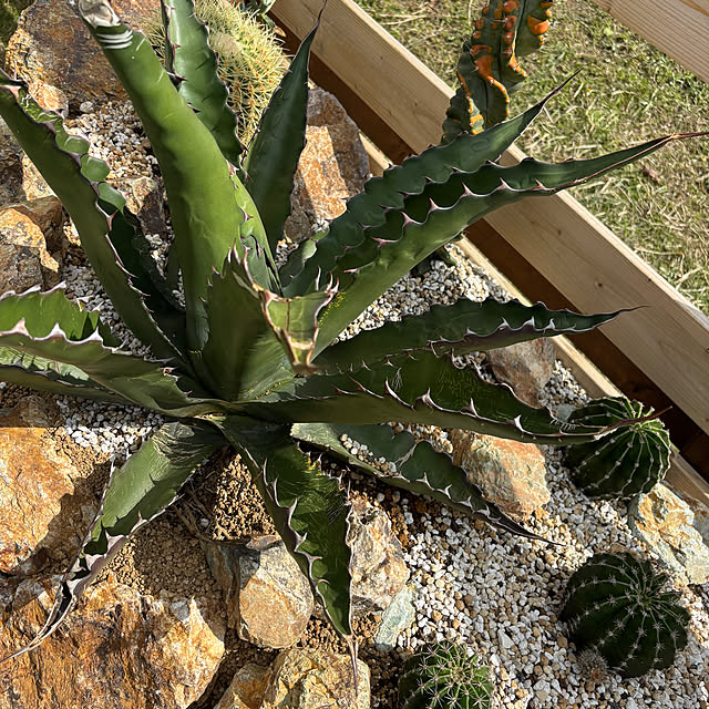 bonber0212さんの実例写真