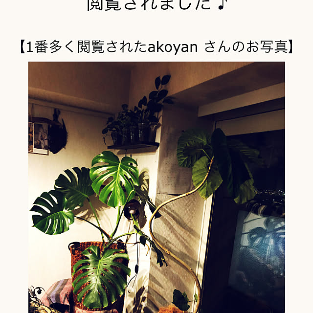 akoyanさんの部屋