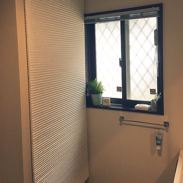 バス/トイレ/決して開けてはならない/スクリーン後ろはパンドラの箱/IKEAスクリーン/IKEAカーテン...などのインテリア実例 - 2017-03-31 10:09:37