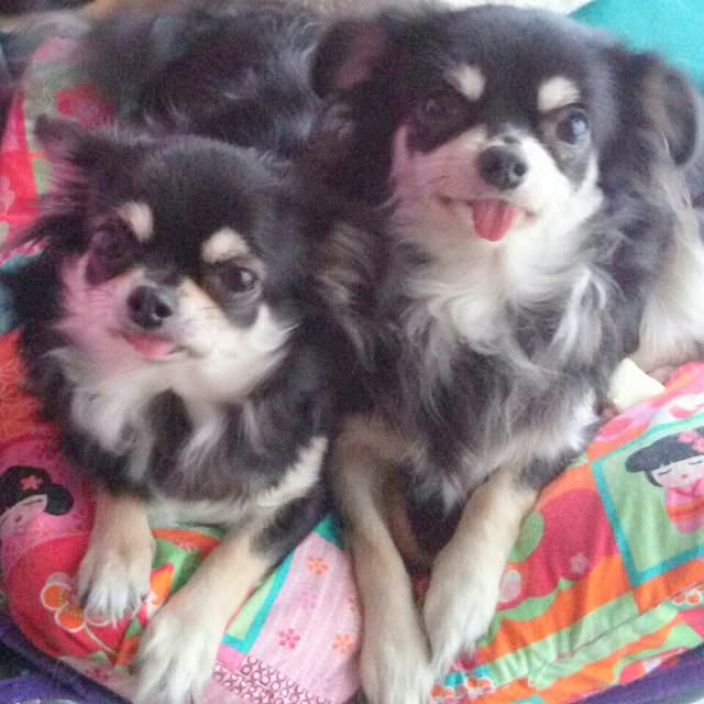 rosemaryさんの実例写真