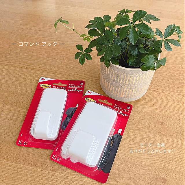 erikaさんの実例写真