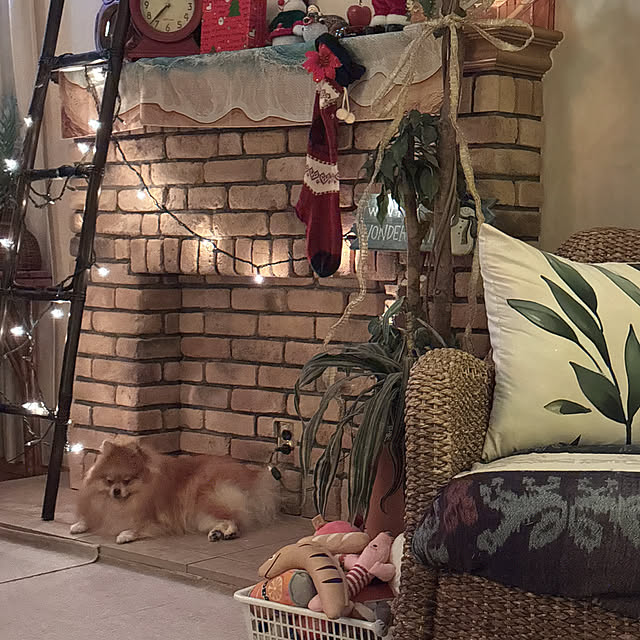 Ryokoさんの実例写真