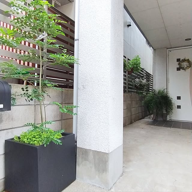 jinさんの実例写真