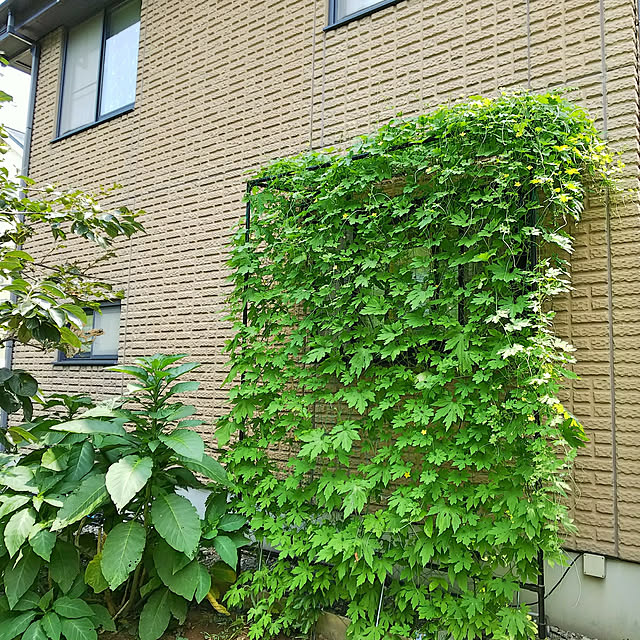 milkann_さんの実例写真