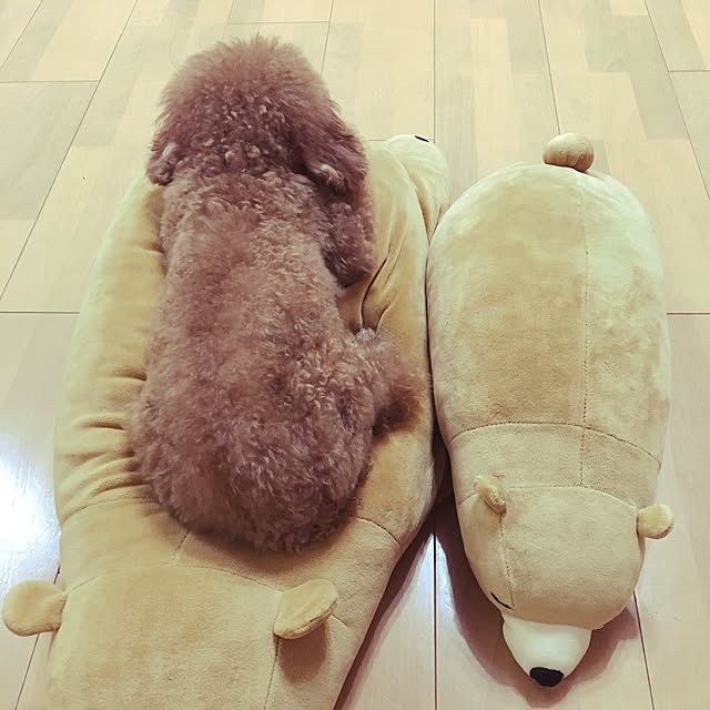 haru._.hanaさんの実例写真