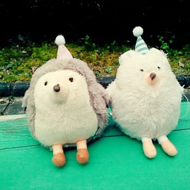 mio29さんの実例写真