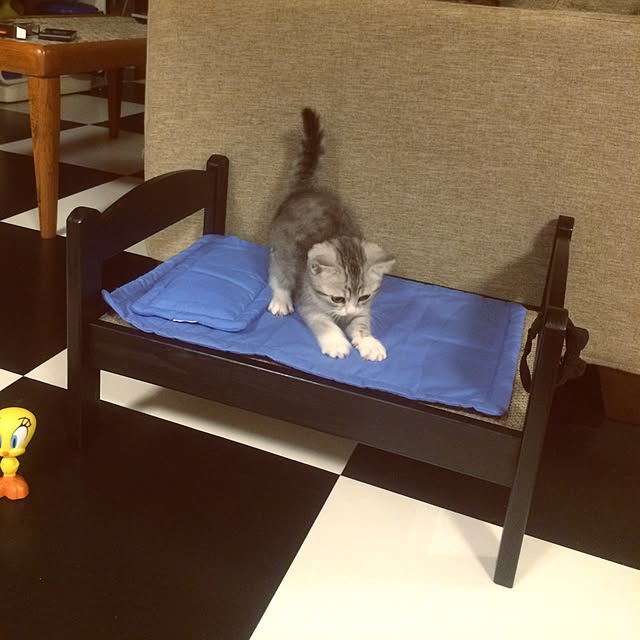 Shojiさんの実例写真