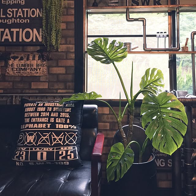 swaro109さんの実例写真