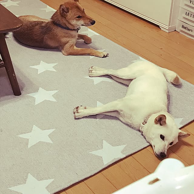 pillowsさんの実例写真