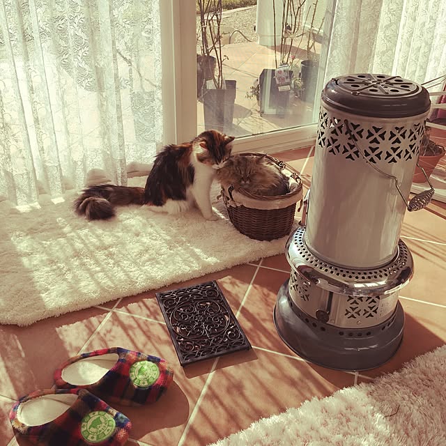 rukaさんの実例写真