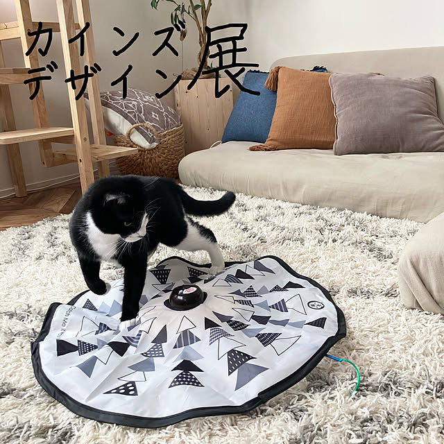 mako2yaさんの実例写真